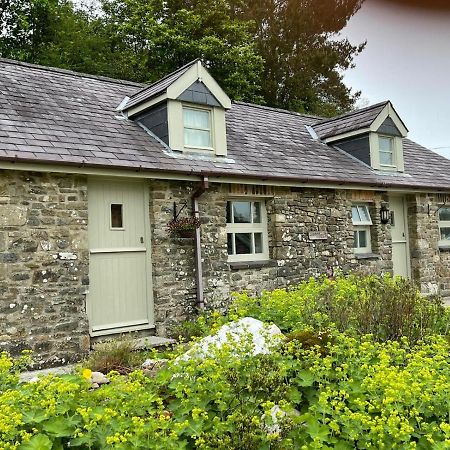 Crug Yr Eryr Isaf Llandysul Exterior foto