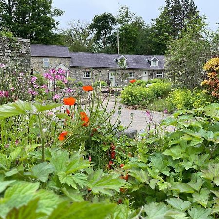 Crug Yr Eryr Isaf Llandysul Exterior foto
