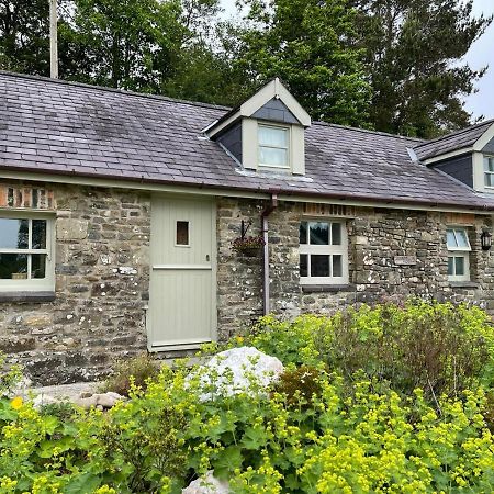 Crug Yr Eryr Isaf Llandysul Exterior foto