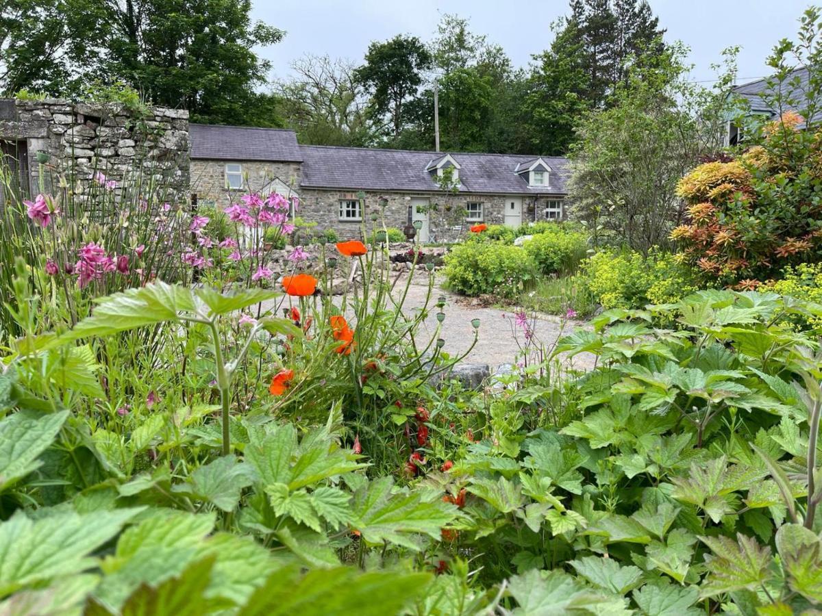 Crug Yr Eryr Isaf Llandysul Exterior foto